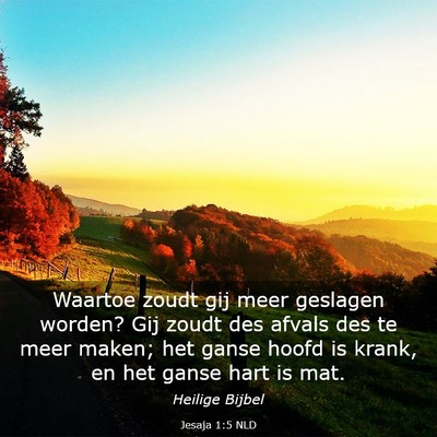 Picture 03 - Jesaja 1:5 NLD - Waartoe zoudt gij meer geslagen worden? Gij zoudt - Bible Verse Picture