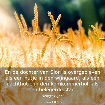 Picture 03 - Jesaja 1:8 NLD - En de dochter van Sion is overgebleven als een - Bible Verse Picture