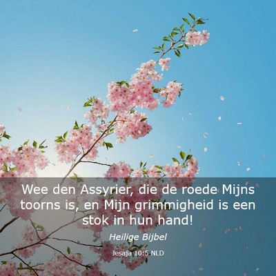 Picture 03 - Jesaja 10:5 NLD - Wee den Assyrier, die de roede Mijns toorns is, - Bible Verse Picture