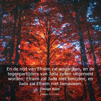 Picture 03 - Jesaja 11:13 NLD - En de nijd van Efraim zal wegwijken, en de - Bible Verse Picture