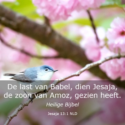 Picture 03 - Jesaja 13:1 NLD - De last van Babel, dien Jesaja, de zoon van Amoz, - Bible Verse Picture