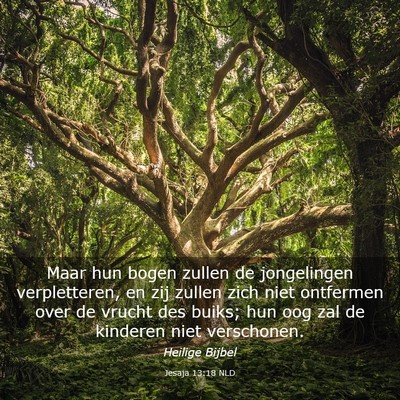 Picture 03 - Jesaja 13:18 NLD - Maar hun bogen zullen de jongelingen - Bible Verse Picture
