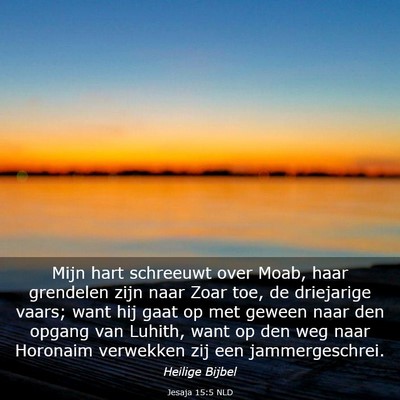 Picture 03 - Jesaja 15:5 NLD - Mijn hart schreeuwt over Moab, haar grendelen - Bible Verse Picture