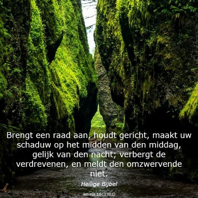 Picture 03 - Jesaja 16:3 NLD - Brengt een raad aan, houdt gericht, maakt uw - Bible Verse Picture