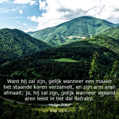 Picture 03 - Jesaja 17:5 NLD - Want hij zal zijn, gelijk wanneer een maaier het - Bible Verse Picture