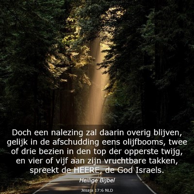 Picture 03 - Jesaja 17:6 NLD - Doch een nalezing zal daarin overig blijven, - Bible Verse Picture