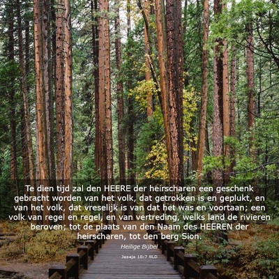 Picture 03 - Jesaja 18:7 NLD - Te dien tijd zal den HEERE der heirscharen een - Bible Verse Picture