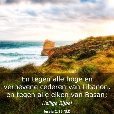 Picture 03 - Jesaja 2:13 NLD - En tegen alle hoge en verhevene cederen van - Bible Verse Picture