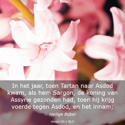 Picture 03 - Jesaja 20:1 NLD - In het jaar, toen Tartan naar Asdod kwam, als hem - Bible Verse Picture
