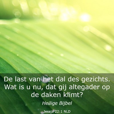 Picture 03 - Jesaja 22:1 NLD - De last van het dal des gezichts. Wat is u nu, - Bible Verse Picture