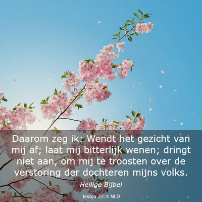 Picture 03 - Jesaja 22:4 NLD - Daarom zeg ik: Wendt het gezicht van mij af; laat - Bible Verse Picture
