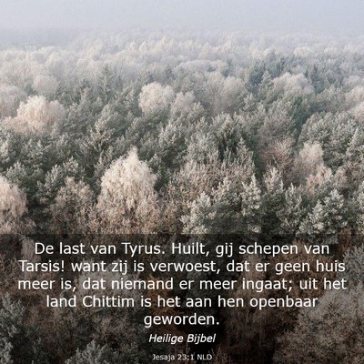 Picture 03 - Jesaja 23:1 NLD - De last van Tyrus. Huilt, gij schepen van Tarsis! - Bible Verse Picture