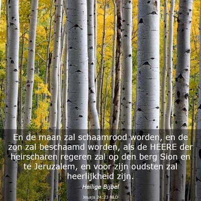 Picture 03 - Jesaja 24:23 NLD - En de maan zal schaamrood worden, en de zon zal - Bible Verse Picture