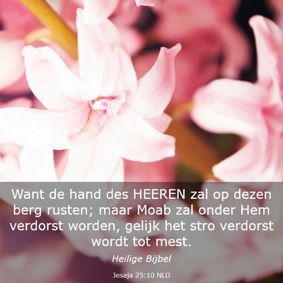 Picture 03 - Jesaja 25:10 NLD - Want de hand des HEEREN zal op dezen berg rusten; - Bible Verse Picture