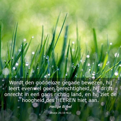 Picture 03 - Jesaja 26:10 NLD - Wordt den goddeloze genade bewezen, hij leert - Bible Verse Picture