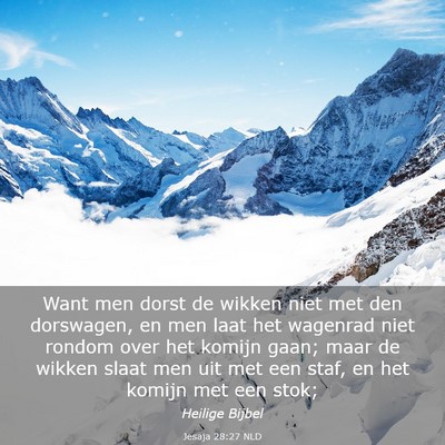 Picture 03 - Jesaja 28:27 NLD - Want men dorst de wikken niet met den dorswagen, - Bible Verse Picture