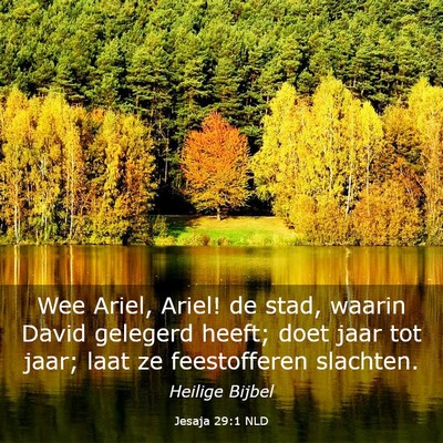 Picture 03 - Jesaja 29:1 NLD - Wee Ariel, Ariel! de stad, waarin David gelegerd - Bible Verse Picture