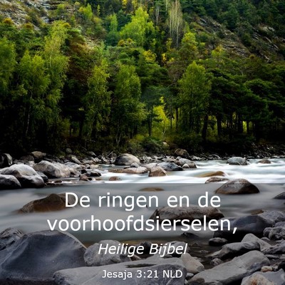 Picture 03 - Jesaja 3:21 NLD - De ringen en de - Bible Verse Picture