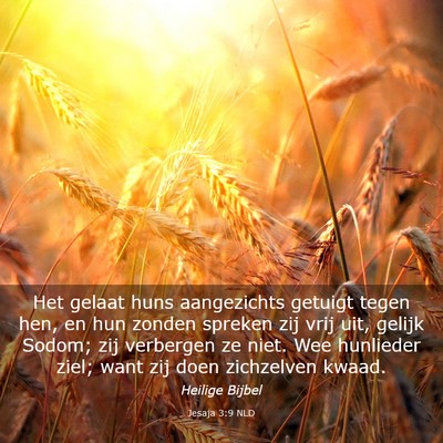 Picture 03 - Jesaja 3:9 NLD - Het gelaat huns aangezichts getuigt tegen hen, en - Bible Verse Picture