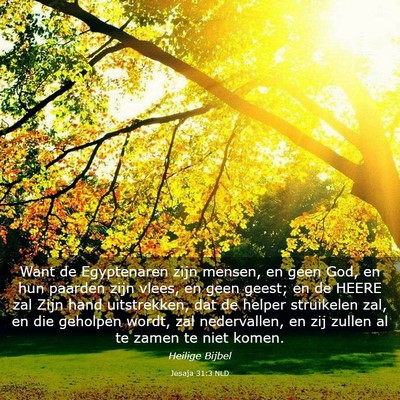 Picture 03 - Jesaja 31:3 NLD - Want de Egyptenaren zijn mensen, en geen God, en - Bible Verse Picture