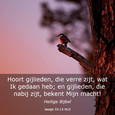 Picture 03 - Jesaja 33:13 NLD - Hoort gijlieden, die verre zijt, wat Ik gedaan - Bible Verse Picture