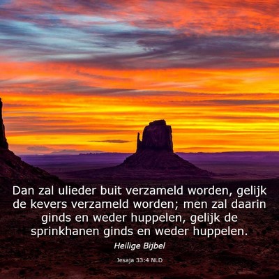 Picture 03 - Jesaja 33:4 NLD - Dan zal ulieder buit verzameld worden, gelijk de - Bible Verse Picture