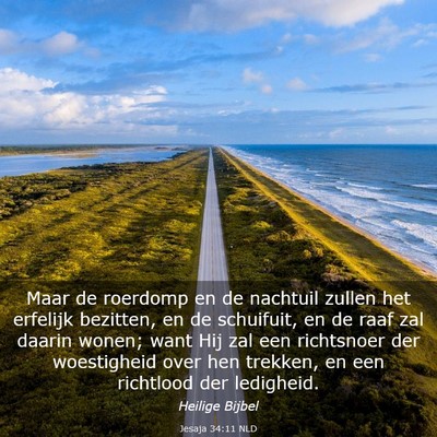Picture 03 - Jesaja 34:11 NLD - Maar de roerdomp en de nachtuil zullen het - Bible Verse Picture