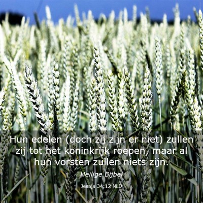 Picture 03 - Jesaja 34:12 NLD - Hun edelen (doch zij zijn er niet) zullen zij tot - Bible Verse Picture