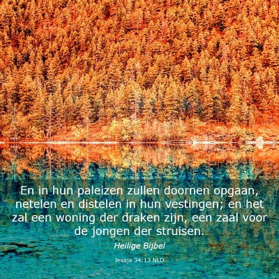Picture 03 - Jesaja 34:13 NLD - En in hun paleizen zullen doornen opgaan, netelen - Bible Verse Picture