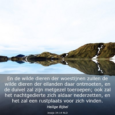 Picture 03 - Jesaja 34:14 NLD - En de wilde dieren der woestijnen zullen de wilde - Bible Verse Picture