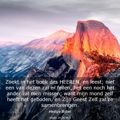 Picture 03 - Jesaja 34:16 NLD - Zoekt in het boek des HEEREN, en leest; niet een - Bible Verse Picture