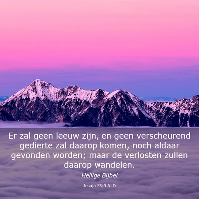 Picture 03 - Jesaja 35:9 NLD - Er zal geen leeuw zijn, en geen verscheurend - Bible Verse Picture