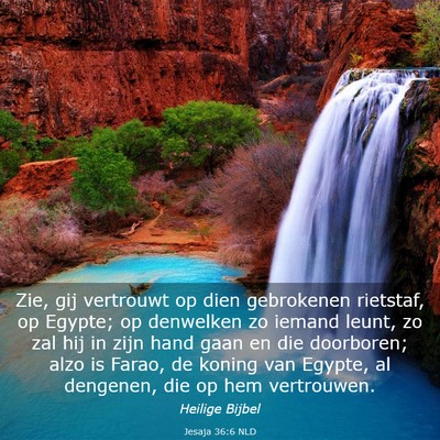 Picture 03 - Jesaja 36:6 NLD - Zie, gij vertrouwt op dien gebrokenen rietstaf, - Bible Verse Picture