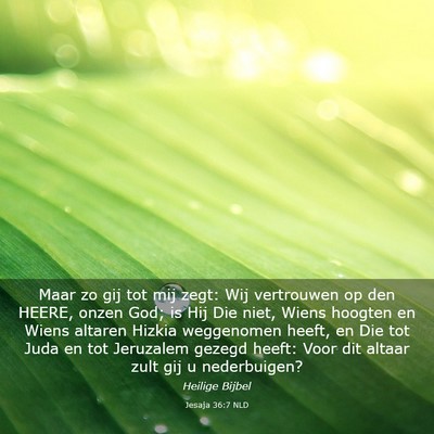 Picture 03 - Jesaja 36:7 NLD - Maar zo gij tot mij zegt: Wij vertrouwen op den - Bible Verse Picture