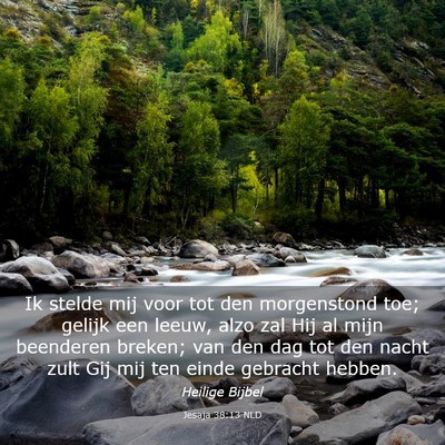 Picture 03 - Jesaja 38:13 NLD - Ik stelde mij voor tot den morgenstond toe; - Bible Verse Picture