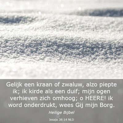 Picture 03 - Jesaja 38:14 NLD - Gelijk een kraan of zwaluw, alzo piepte ik; ik - Bible Verse Picture