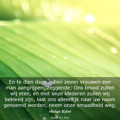 Picture 03 - Jesaja 4:1 NLD - En te dien dage zullen zeven vrouwen een man - Bible Verse Picture