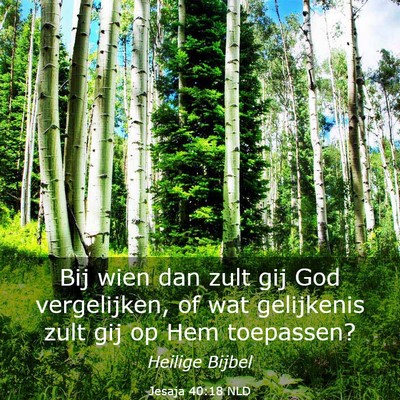 Picture 03 - Jesaja 40:18 NLD - Bij wien dan zult gij God vergelijken, of wat - Bible Verse Picture