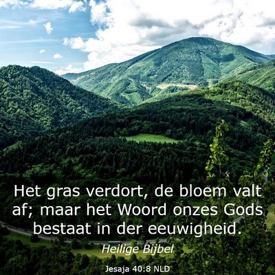 Picture 03 - Jesaja 40:8 NLD - Het gras verdort, de bloem valt af; maar het - Bible Verse Picture