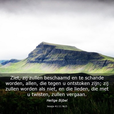 Picture 03 - Jesaja 41:11 NLD - Ziet, zij zullen beschaamd en te schande worden, - Bible Verse Picture
