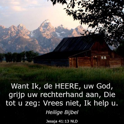 Picture 03 - Jesaja 41:13 NLD - Want Ik, de HEERE, uw God, grijp uw rechterhand - Bible Verse Picture