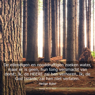 Picture 03 - Jesaja 41:17 NLD - De ellendigen en nooddruftigen zoeken water, maar - Bible Verse Picture