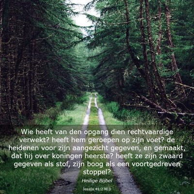 Picture 03 - Jesaja 41:2 NLD - Wie heeft van den opgang dien rechtvaardige - Bible Verse Picture