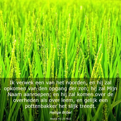Picture 03 - Jesaja 41:25 NLD - Ik verwek een van het noorden, en hij zal opkomen - Bible Verse Picture