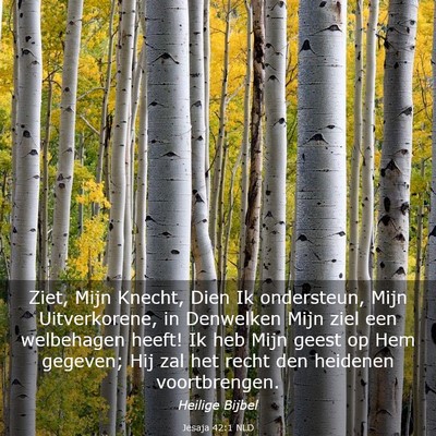 Picture 03 - Jesaja 42:1 NLD - Ziet, Mijn Knecht, Dien Ik ondersteun, Mijn - Bible Verse Picture