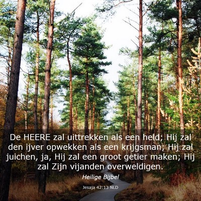 Picture 03 - Jesaja 42:13 NLD - De HEERE zal uittrekken als een held; Hij zal den - Bible Verse Picture