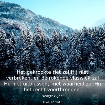 Picture 03 - Jesaja 42:3 NLD - Het gekrookte riet zal Hij niet verbreken, en de - Bible Verse Picture