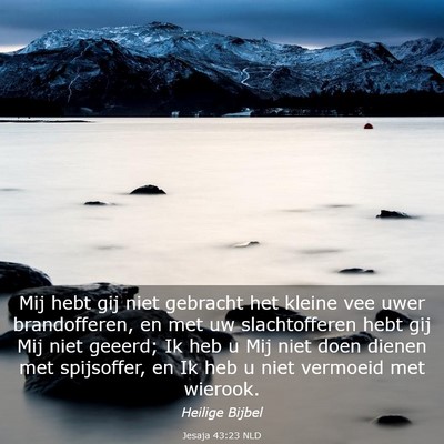 Picture 03 - Jesaja 43:23 NLD - Mij hebt gij niet gebracht het kleine vee uwer - Bible Verse Picture