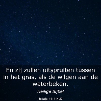 Picture 03 - Jesaja 44:4 NLD - En zij zullen uitspruiten tussen in het gras, als - Bible Verse Picture
