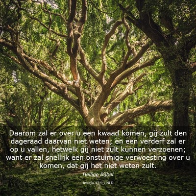 Picture 03 - Jesaja 47:11 NLD - Daarom zal er over u een kwaad komen, gij zult - Bible Verse Picture